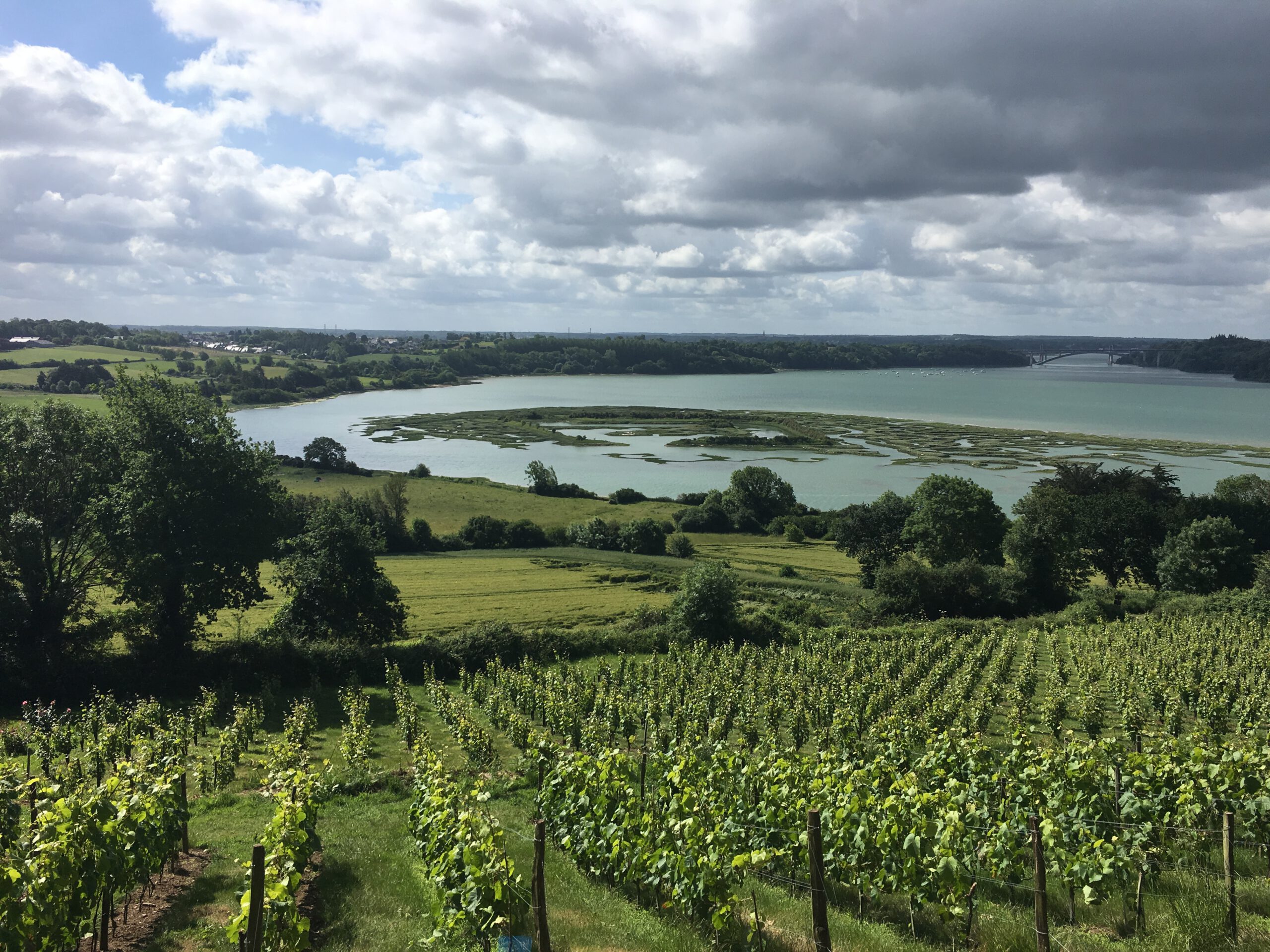 Vignes du Mont Garrot et camp Vikings